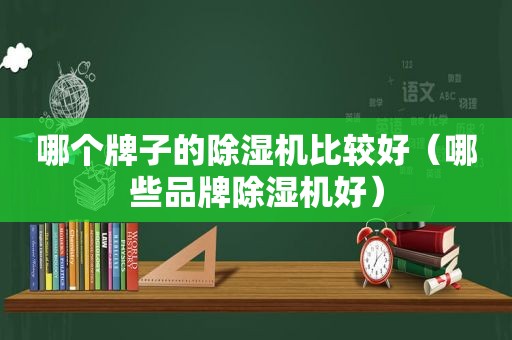 哪个牌子的除湿机比较好（哪些品牌除湿机好）