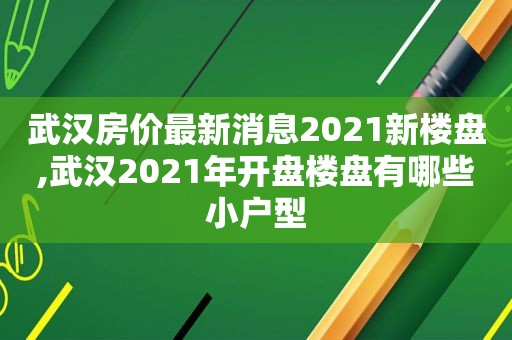 武汉房价最新消息2021新楼盘,武汉2021年开盘楼盘有哪些小户型