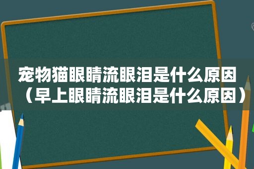 宠物猫眼睛流眼泪是什么原因（早上眼睛流眼泪是什么原因）