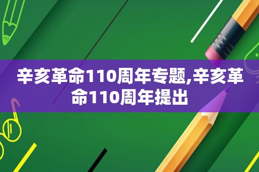 辛亥革命110周年专题,辛亥革命110周年提出