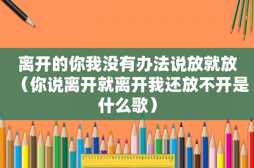 离开的你我没有办法说放就放（你说离开就离开我还放不开是什么歌）