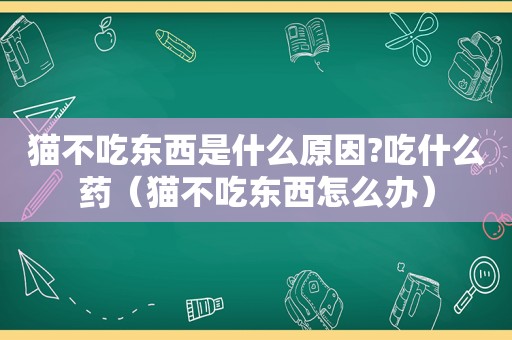 猫不吃东西是什么原因?吃什么药（猫不吃东西怎么办）