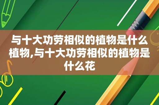 与十大功劳相似的植物是什么植物,与十大功劳相似的植物是什么花