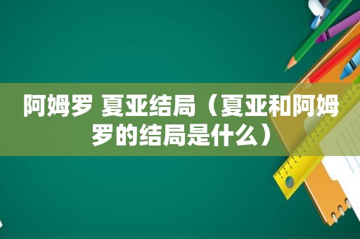 阿姆罗 夏亚结局（夏亚和阿姆罗的结局是什么）