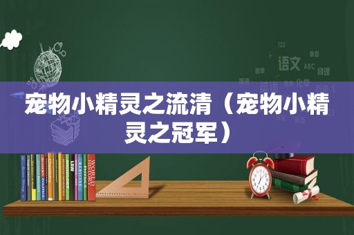 宠物小精灵之流清（宠物小精灵之冠军）