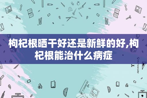 枸杞根晒干好还是新鲜的好,枸杞根能治什么病症