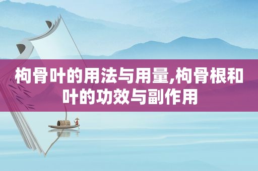 枸骨叶的用法与用量,枸骨根和叶的功效与副作用