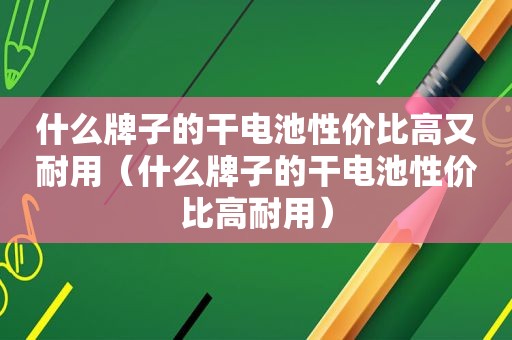 什么牌子的干电池性价比高又耐用（什么牌子的干电池性价比高耐用）