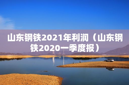 山东钢铁2021年利润（山东钢铁2020一季度报）