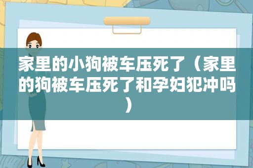 家里的小狗被车压死了（家里的狗被车压死了和孕妇犯冲吗）