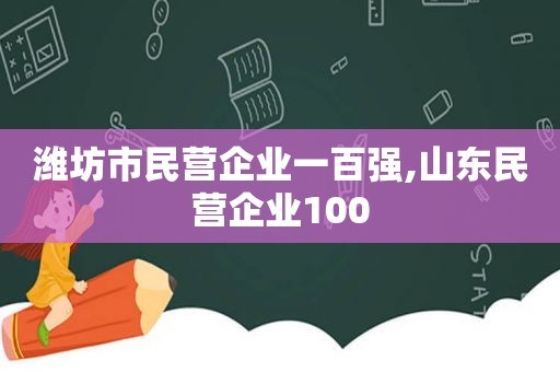 潍坊市民营企业一百强,山东民营企业100