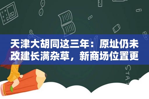 天津大胡同这三年：原址仍未改建长满杂草，新商场位置更好？