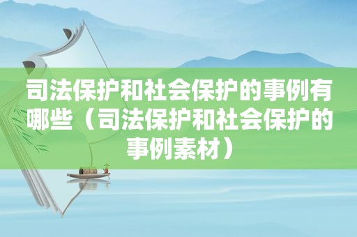 司法保护和社会保护的事例有哪些（司法保护和社会保护的事例素材）