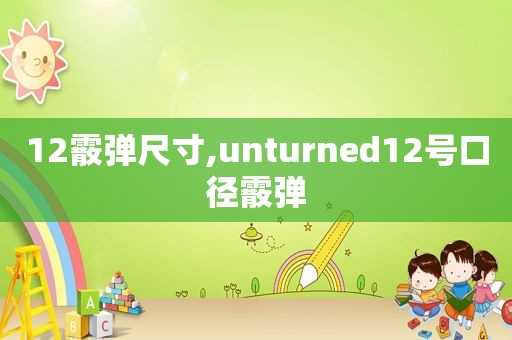 12霰弹尺寸,unturned12号口径霰弹