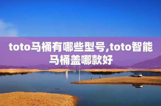 toto马桶有哪些型号,toto智能马桶盖哪款好