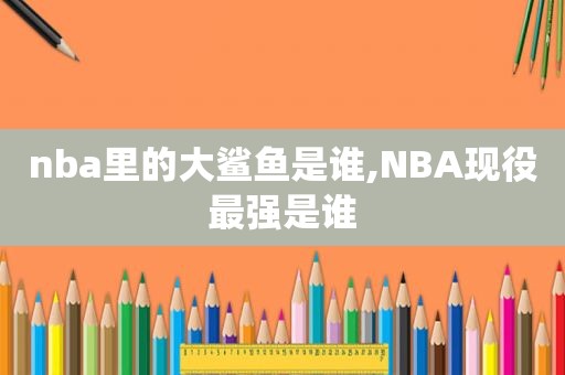 nba里的大鲨鱼是谁,NBA现役最强是谁