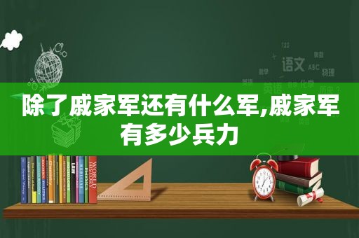 除了戚家军还有什么军,戚家军有多少兵力