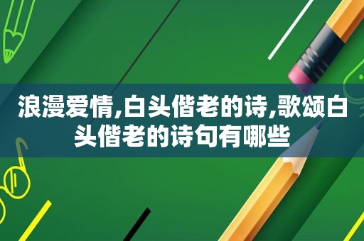 浪漫爱情,白头偕老的诗,歌颂白头偕老的诗句有哪些