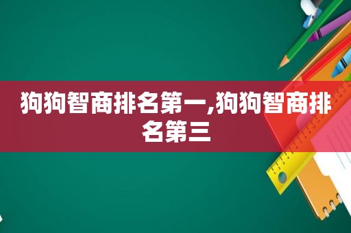 狗狗智商排名第一,狗狗智商排名第三