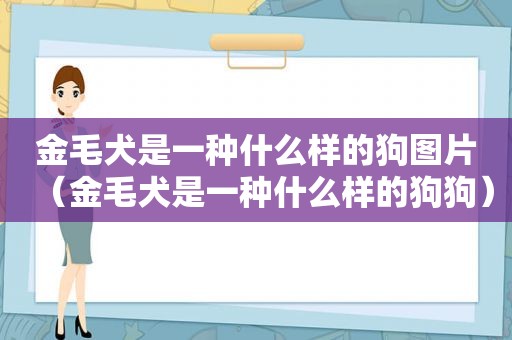 金毛犬是一种什么样的狗图片（金毛犬是一种什么样的狗狗）