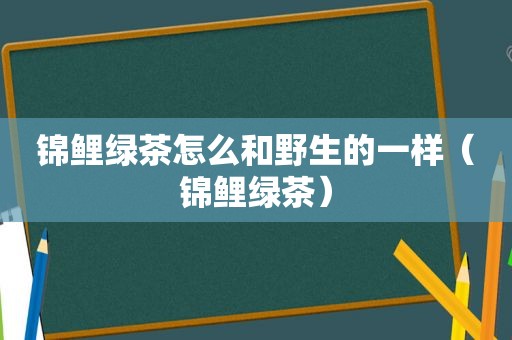 锦鲤绿茶怎么和野生的一样（锦鲤绿茶）