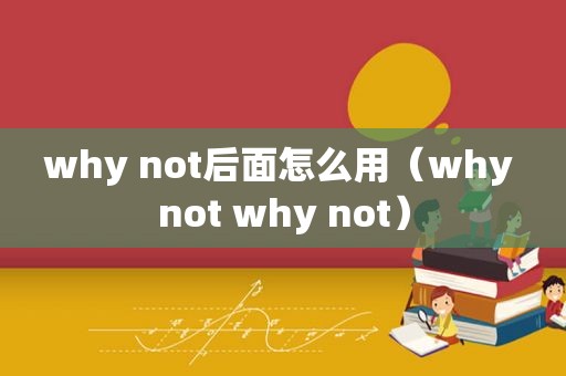 why not后面怎么用（why not why not）