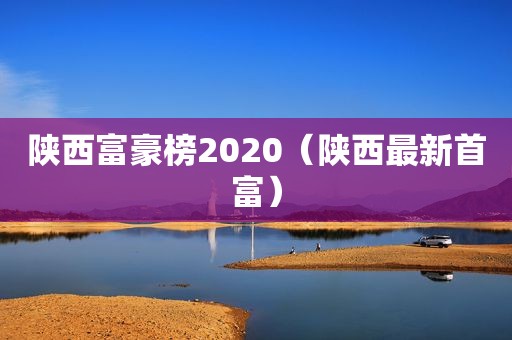 陕西富豪榜2020（陕西最新首富）