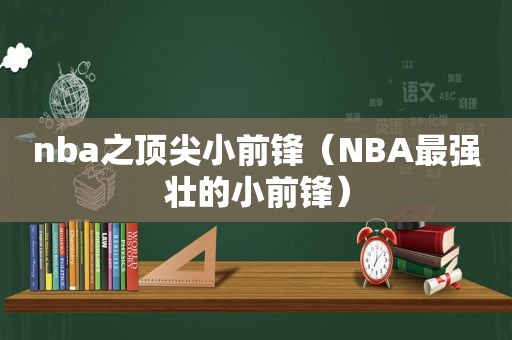 nba之顶尖小前锋（NBA最强壮的小前锋）