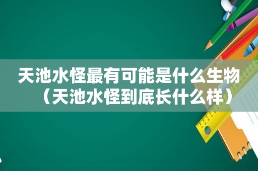 天池水怪最有可能是什么生物（天池水怪到底长什么样）