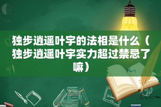 独步逍遥叶宇的法相是什么（独步逍遥叶宇实力超过禁忌了嘛）