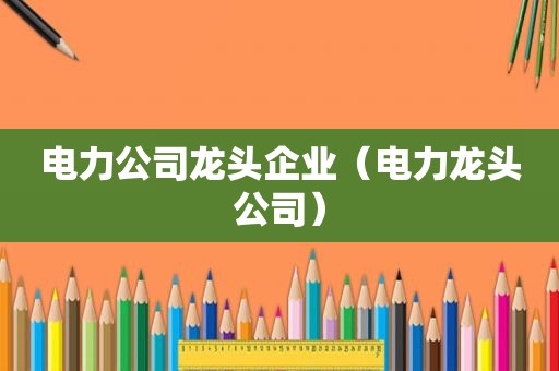 电力公司龙头企业（电力龙头公司）