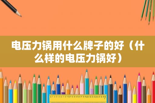 电压力锅用什么牌子的好（什么样的电压力锅好）