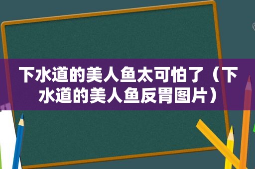 下水道的美人鱼太可怕了（下水道的美人鱼反胃图片）