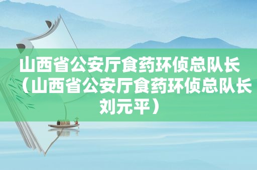 山西省公安厅食药环侦总队长（山西省公安厅食药环侦总队长刘元平）