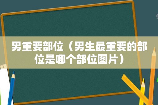 男重要部位（男生最重要的部位是哪个部位图片）