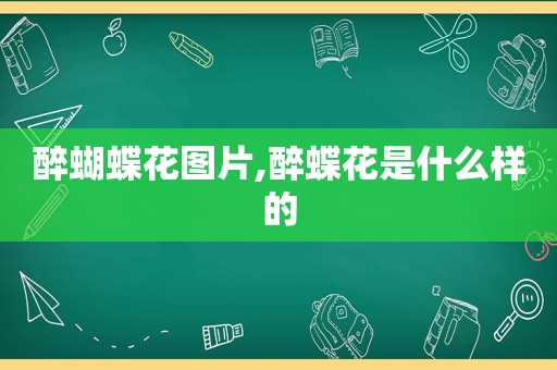 醉蝴蝶花图片,醉蝶花是什么样的