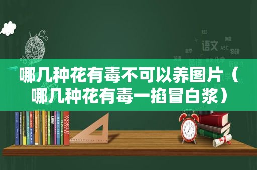 哪几种花有毒不可以养图片（哪几种花有毒一掐冒白浆）