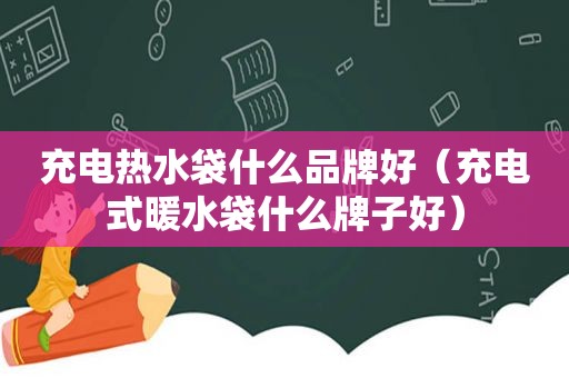 充电热水袋什么品牌好（充电式暖水袋什么牌子好）