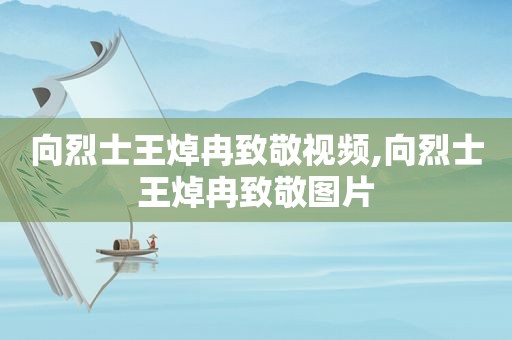 向烈士王焯冉致敬视频,向烈士王焯冉致敬图片