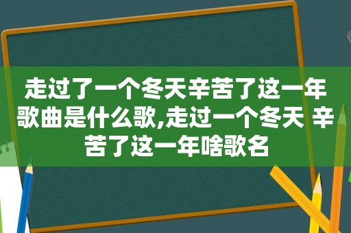 走过了一个冬天辛苦了这一年歌曲是什么歌,走过一个冬天 辛苦了这一年啥歌名