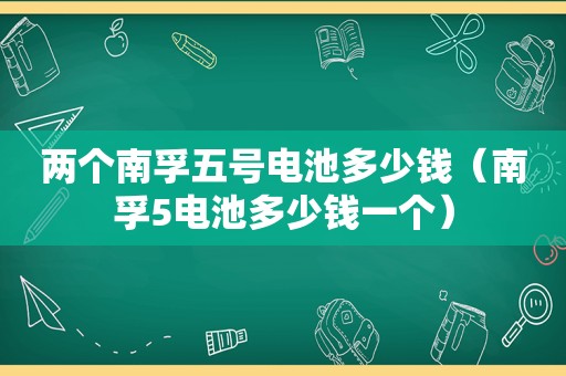 两个南孚五号电池多少钱（南孚5电池多少钱一个）