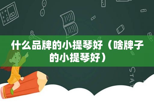 什么品牌的小提琴好（啥牌子的小提琴好）