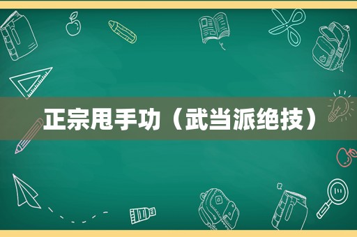 正宗甩手功（武当派绝技）