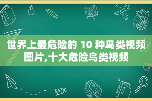 世界上最危险的 10 种鸟类视频图片,十大危险鸟类视频