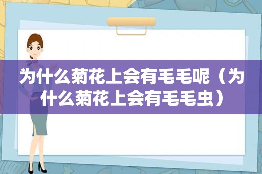 为什么菊花上会有毛毛呢（为什么菊花上会有毛毛虫）