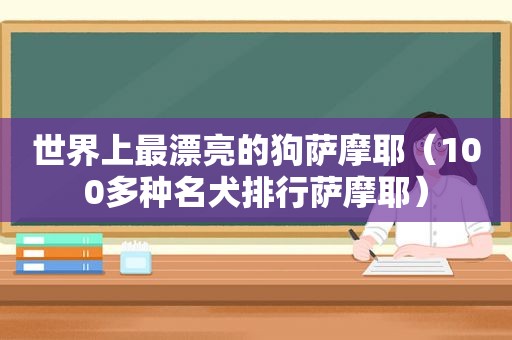 世界上最漂亮的狗萨摩耶（100多种名犬排行萨摩耶）