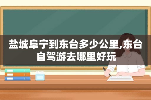 盐城阜宁到东台多少公里,东台自驾游去哪里好玩