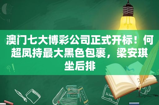 澳门七大 *** 公司正式开标！何超凤持最大黑色包裹，梁安琪坐后排