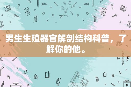 男生生殖器官解剖结构科普，了解你的他。