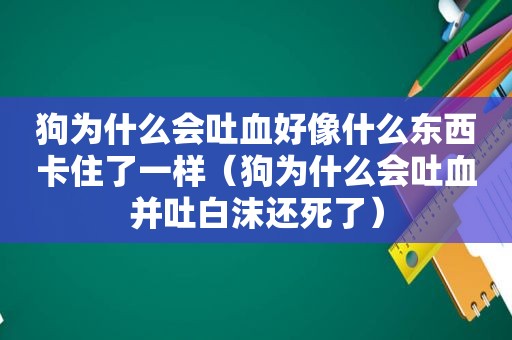 狗为什么会吐血好像什么东西卡住了一样（狗为什么会吐血并吐白沫还死了）